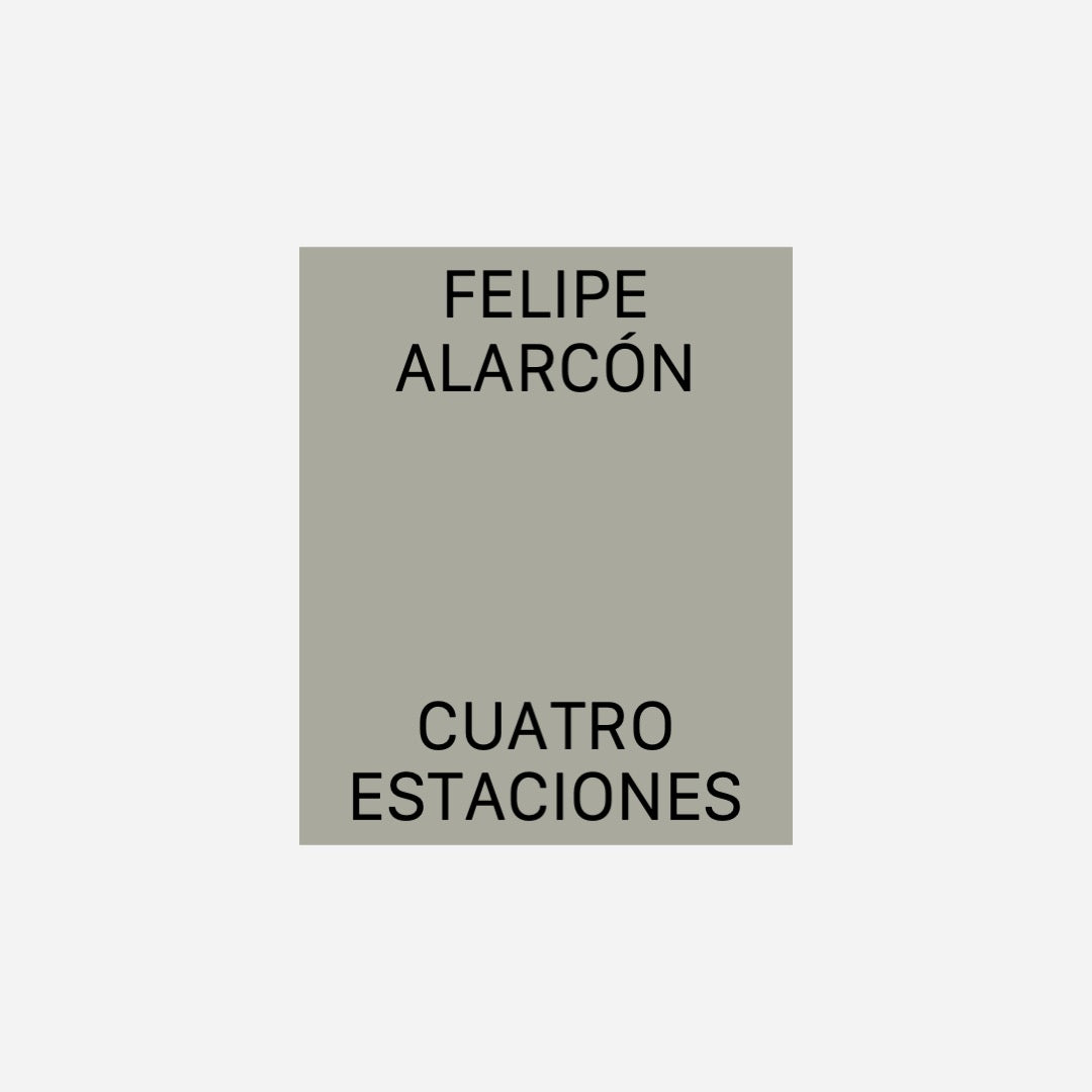 CASA 02 - FELIPE ALARCÓN